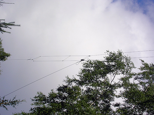 Bredbandsantennen högt uppe i trädtopparna